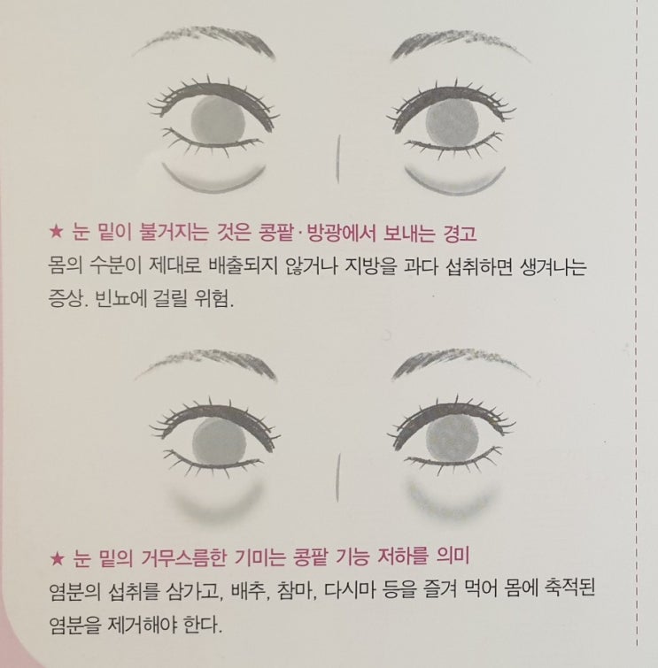  콩팥이 안좋으면  신장안좋으면 신장이상 증상 |  유니시티코리아 유여림
