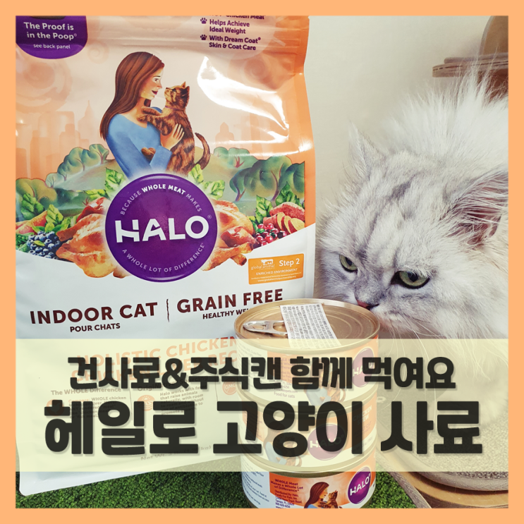  고양이사료 헤일로, 생육으로 만들어 소화가 잘 돼요