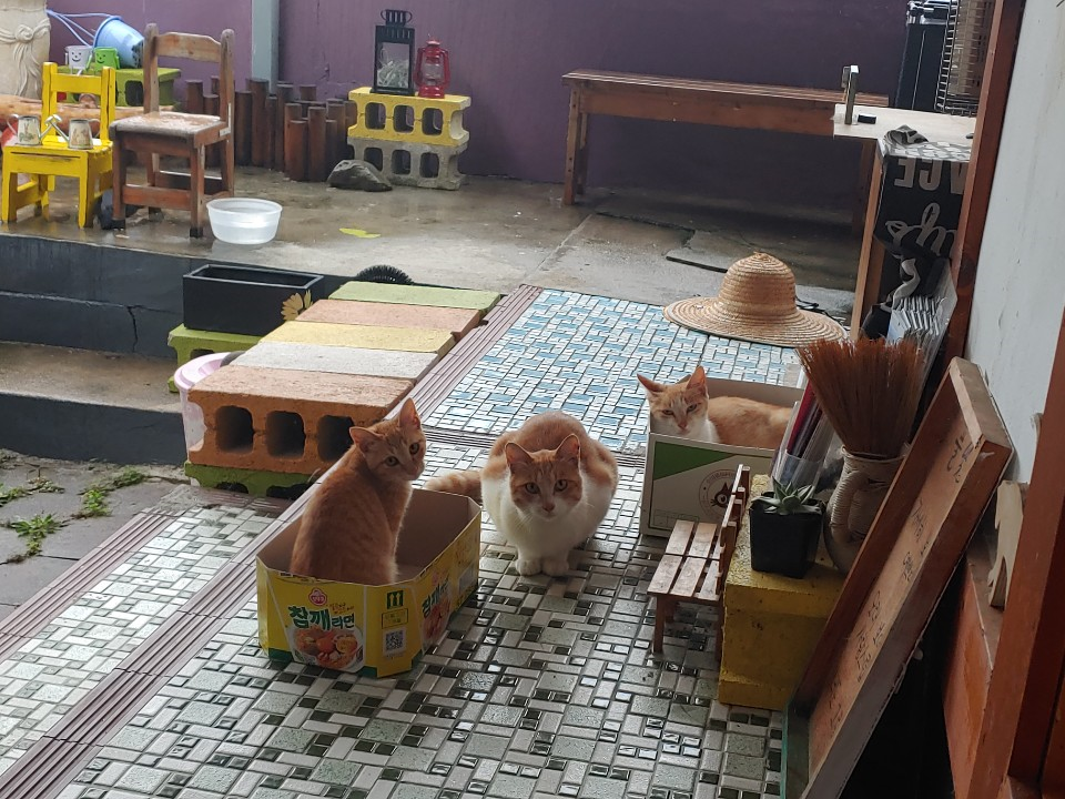 그림애컬쳐하우스 사진 3