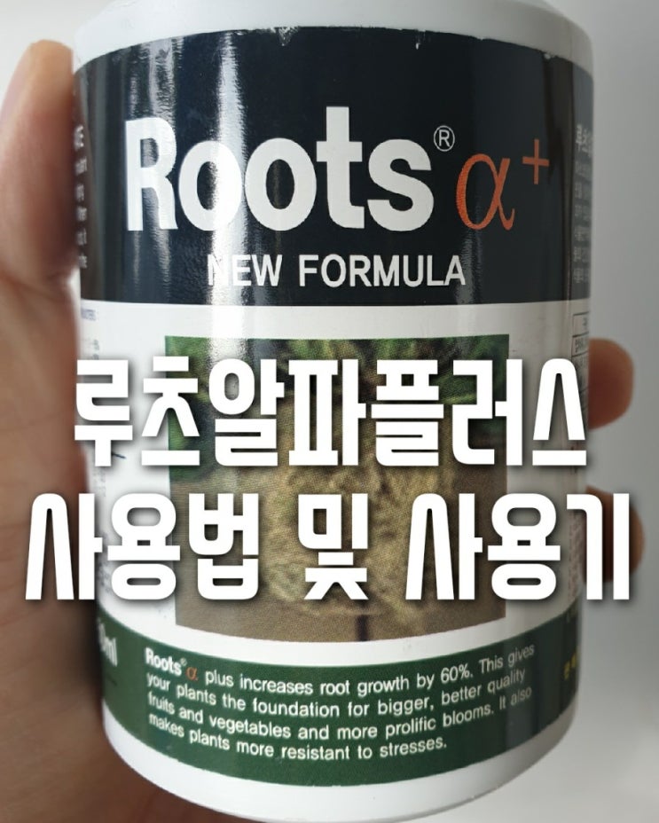  식물영양제 루츠알파플러스 사용기