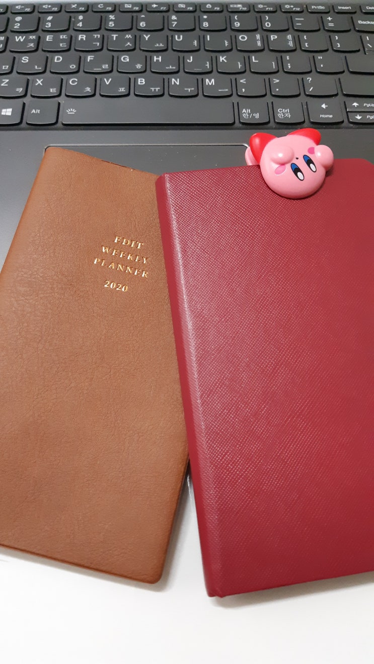 아듀2020, 블로그로 알아보는 개냥이의 1년 아듀2020, 블로그로 알아보는 개냥이의 1년