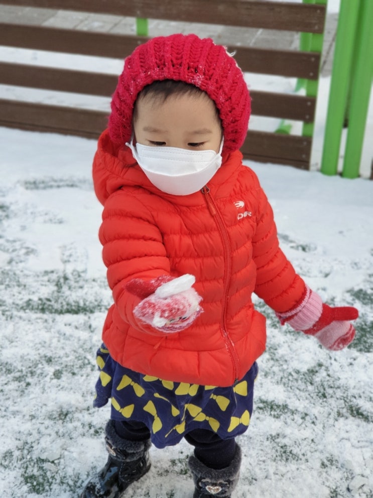  눈썰매