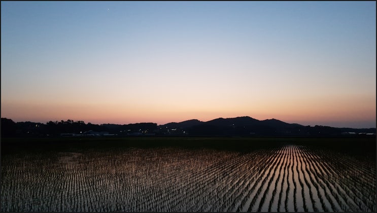  해질녘 김포평야