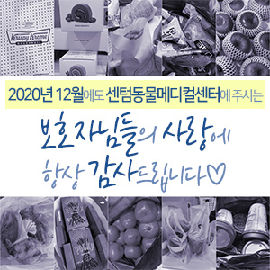 2020년 12월에도 센텀동물메디컬센터에 주시는 보호자님들의 사랑에 항상 감사드립니다 (부산 수영구 남구 연제구 분과 전문 동물병원)