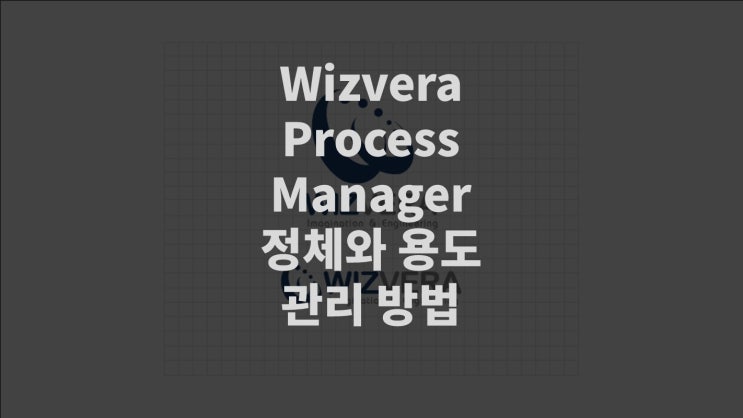 Wizvera process manager 정체와 용도 그리고 삭제 방법.