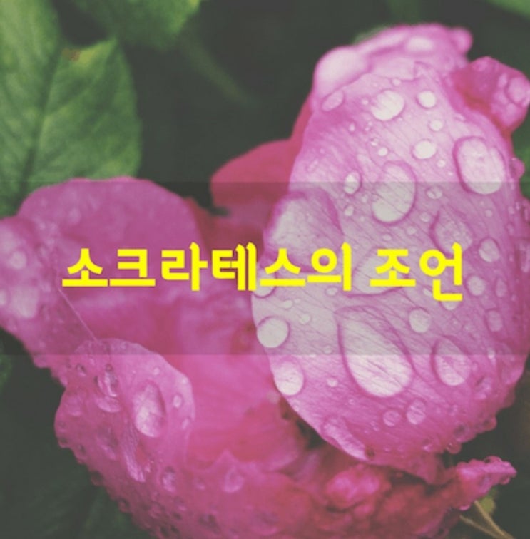  반성하지 않는 삶은 살 가치가 없다.
