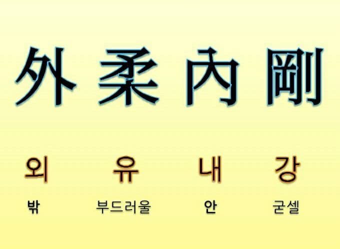  고사성어 사자성어 [ 외유내강 ] 뜻 풀이