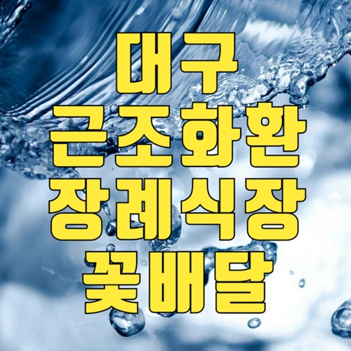  대구 근조화환 장례식장 근처 인근 꽃배달 꽃집