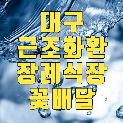 대구 근조화환 장례식장 근처 인근 꽃배달 꽃집