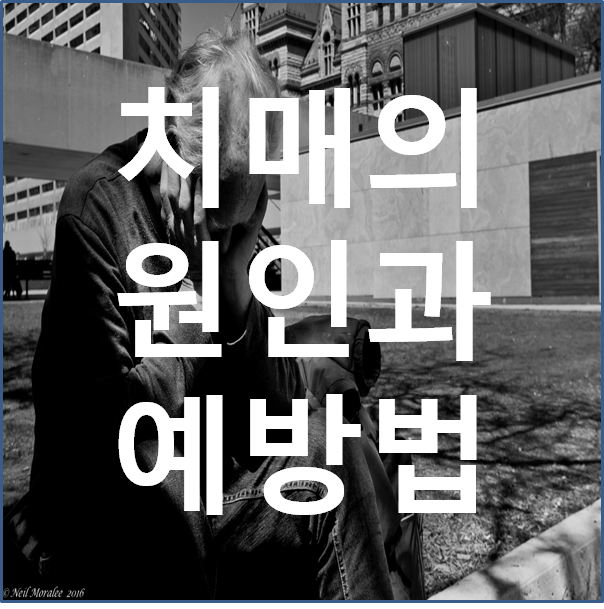  치매의 원인과 예방법에 대해서 알아보자.