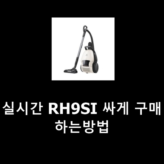 실시간 RH9SI 싸게 구매하는방법 실시간 RH9SI 싸게 구매하는방법