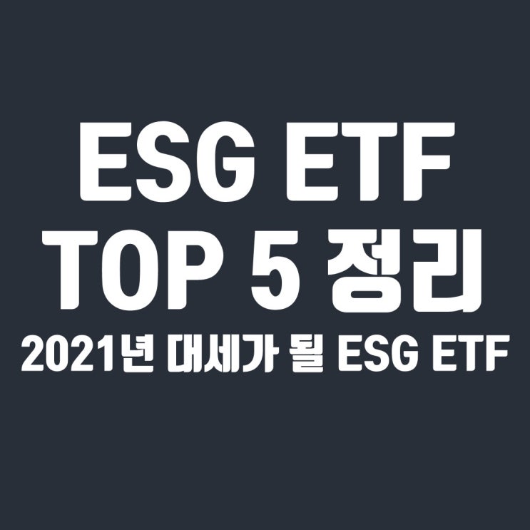  ESG 관련 ETF 5종목 정리 (ESGV, NUMG, ESGD, SUSA, DSI)