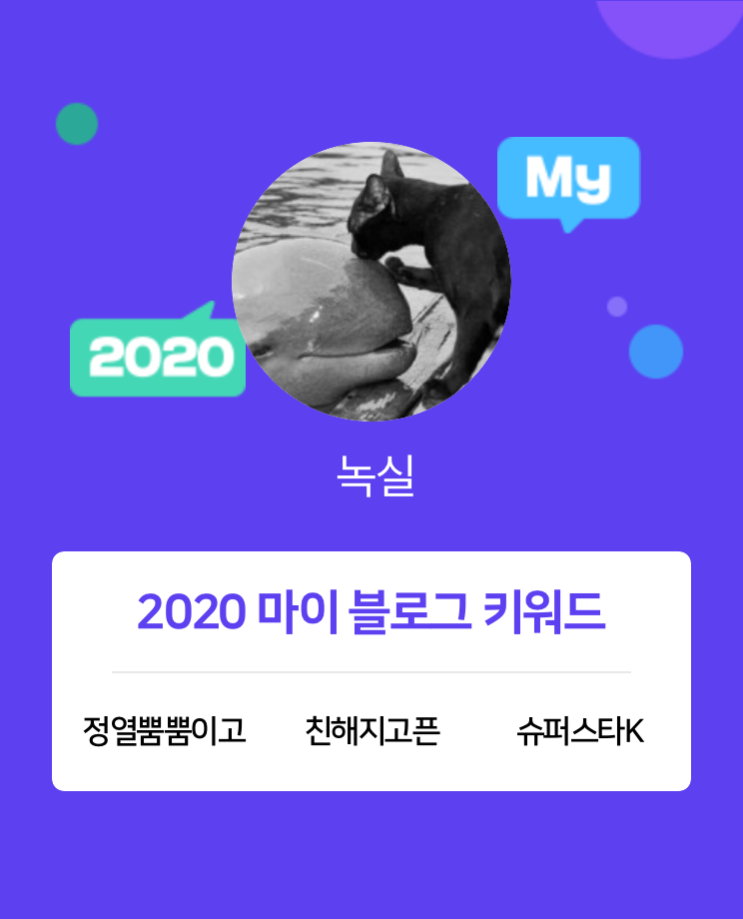 [2020 마이블로그 리포트] 한 눈에 보는 올해 내 블로그 데이터!