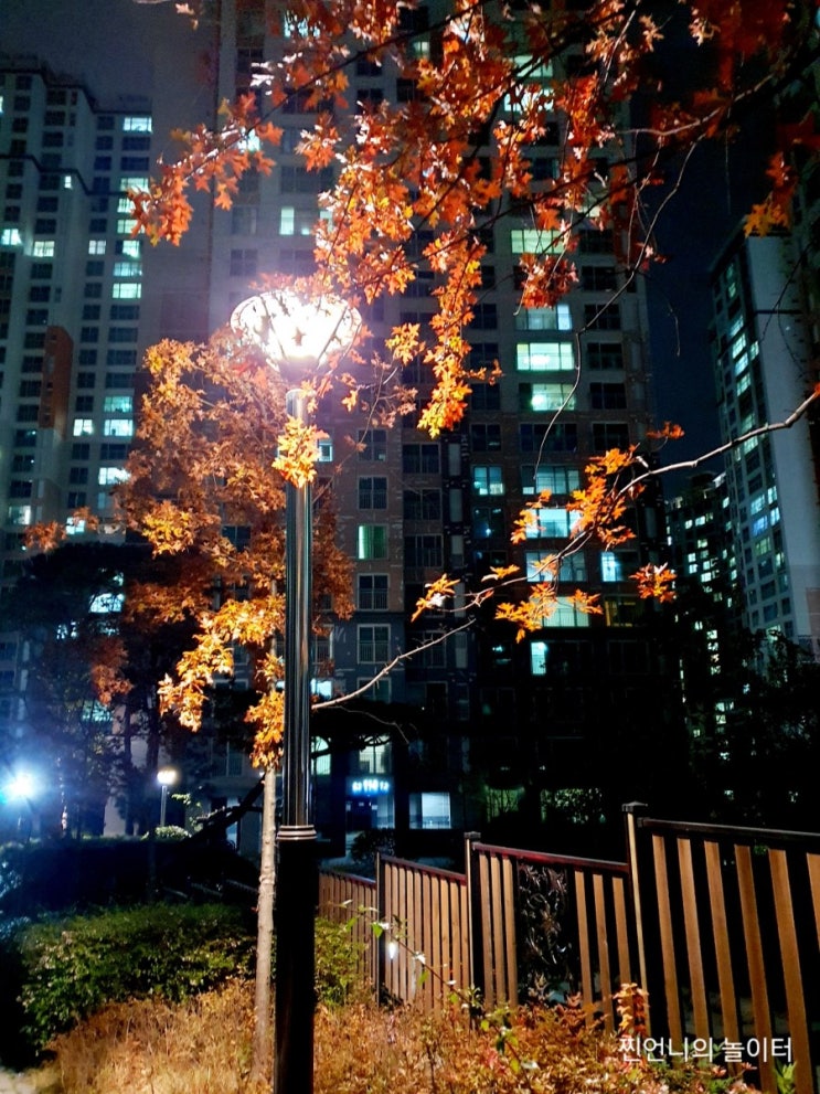  굿바이 2020 !