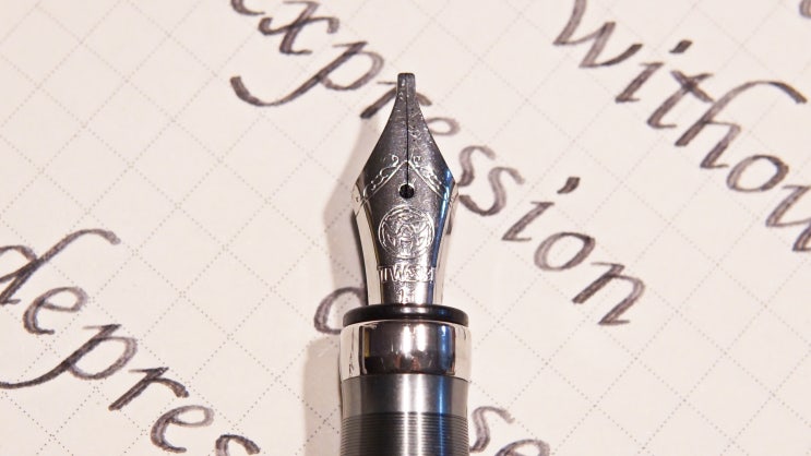  pression (TWSBI Diamond 580ALR Nickel Gray Stub1.1)