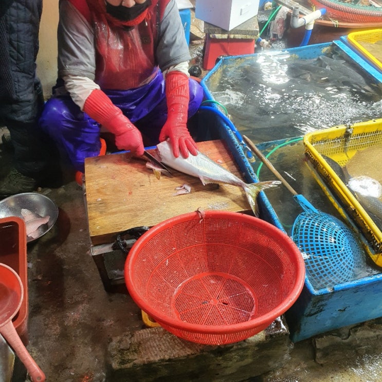  [부산 회센터]다대포 씨파크 회포장 광어 5만원