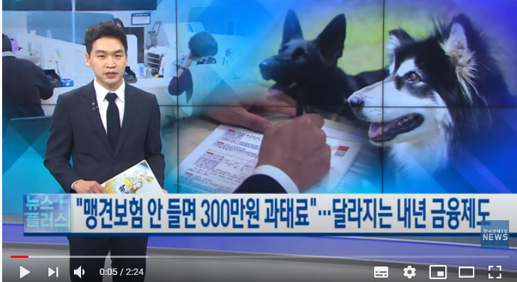 "맹견보험 안 들면 300만원 과태료"…달라지는 내년 금융제도