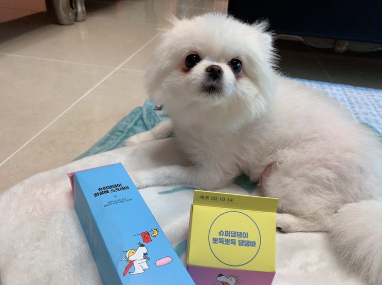  슈퍼댕댕이 _ 강아지오줌냄새제거 탈취제와 천연 강아지비누 추천