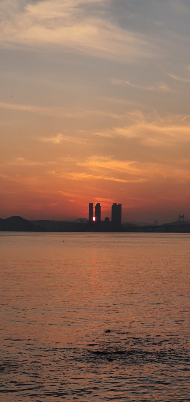  2020년 한해를 보내며