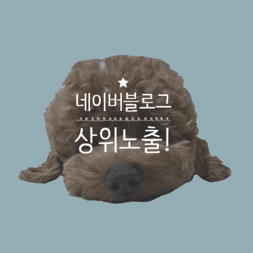  블로그 상위 노출 첨 떴어요!!!