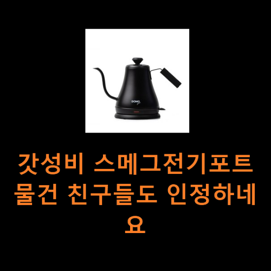 갓성비 스메그전기포트 물건 친구들도 인정하네요