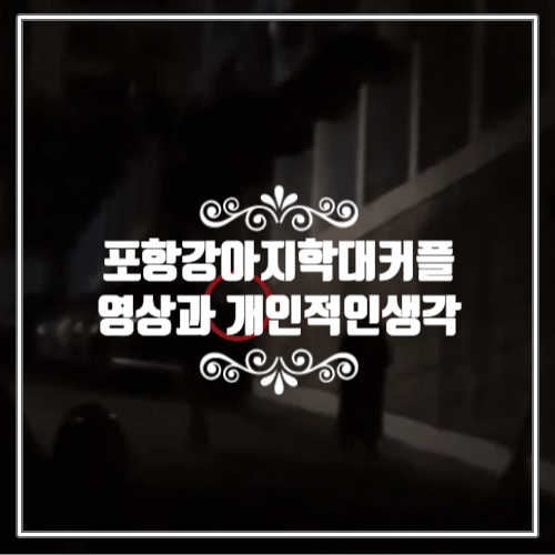  포항 반려견 동물학대 커플, 강아지를 요요처럼 휘두른 영상