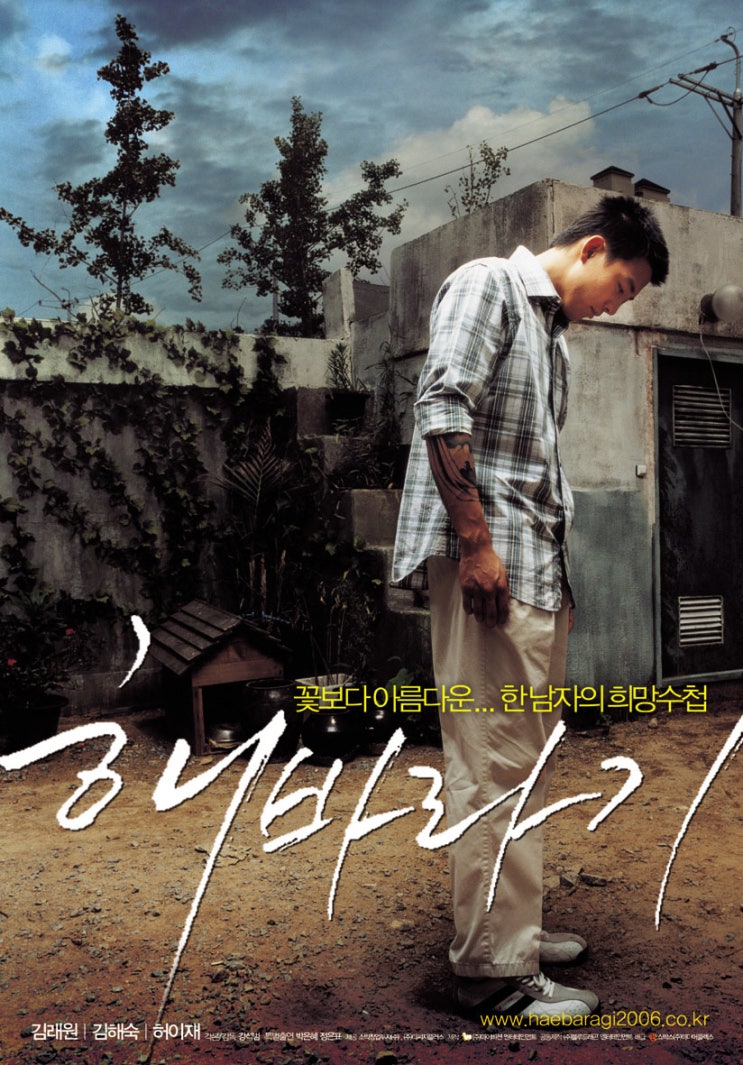  해바라기 - 고맙고 감사합니다. 어머니
