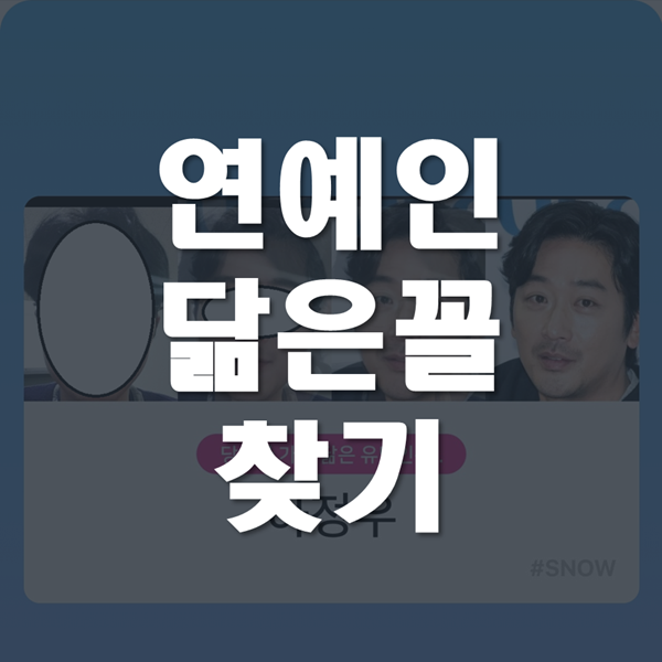 연예인 닮은꼴 찾기 하는 방법! (스노우 닮은꼴 찾기!)