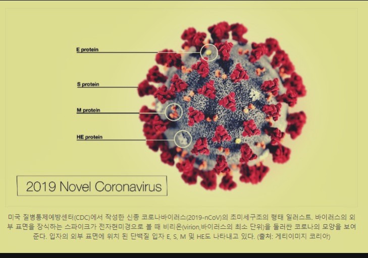  2020년을 떠나보내며... 2020 결산 (2020 경자년 잘가라!)
