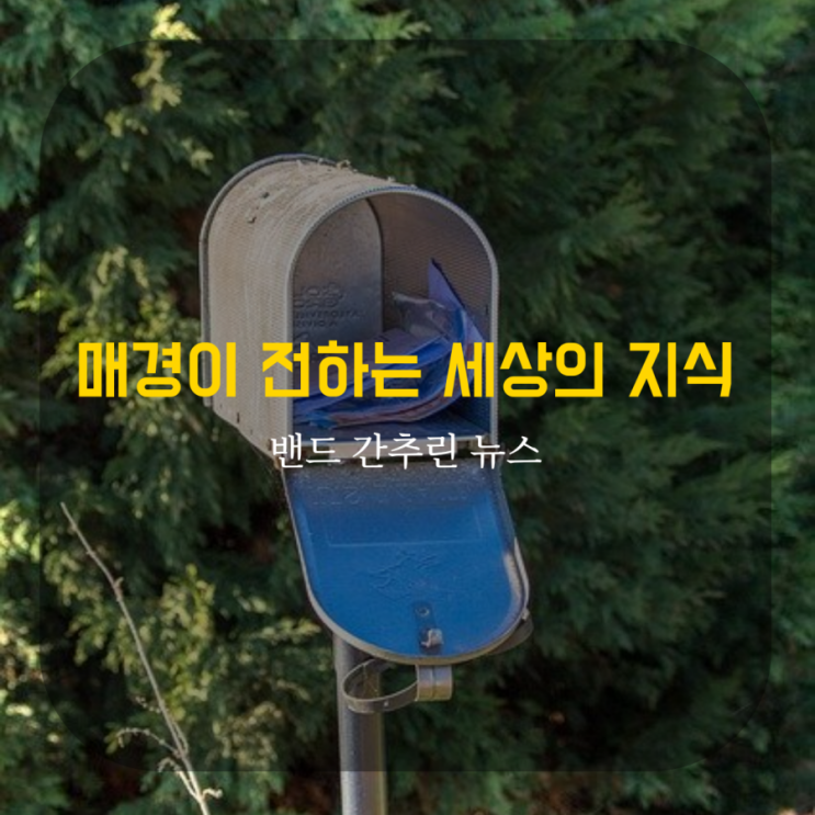 매경이 전하는 세상의 지식