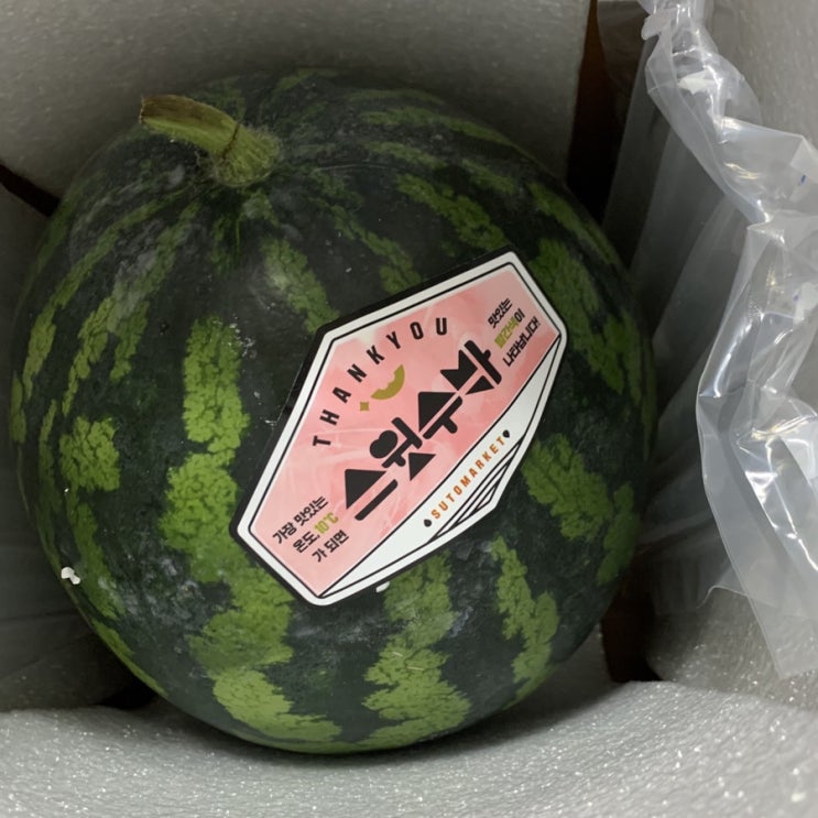  겨울수박 수토마켓 스윗수박 기대이상!!