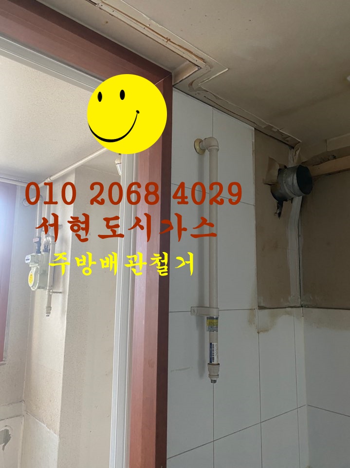  세종시 대표도시가스공사 배관철거/푸르지오