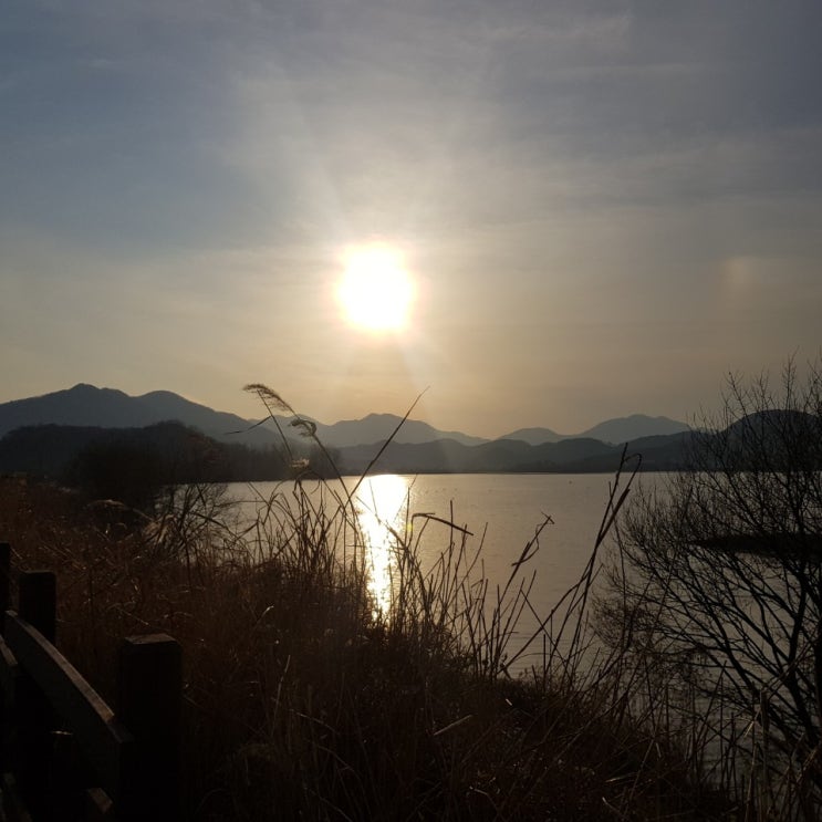  2020년을 보내며 (2020년 보험트렌드 정리)