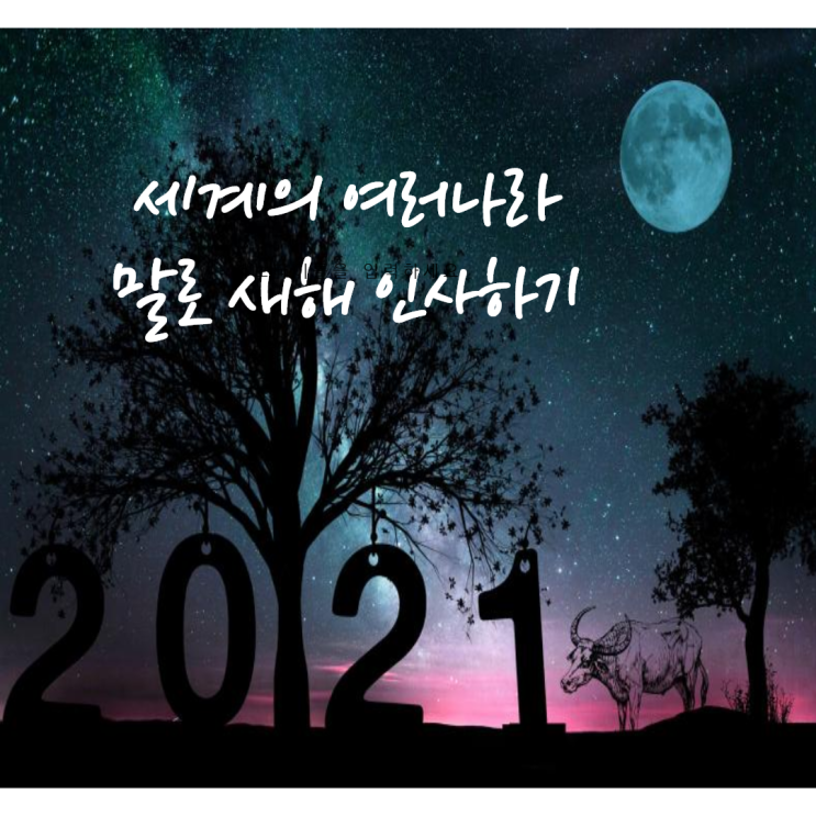  세계 여러 나라의 새해 인사말, 세계의 다른 언어로 새해 인사하기,영어,일본어,중국어,네덜란드어,핀란드어,스페인어,러시아어,터키어로 새해인사하기