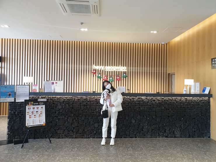  [제주도 강아지 동반 가능 호텔 추천] 헤이 서귀포 (Heyy, Seogwipo) 숙소