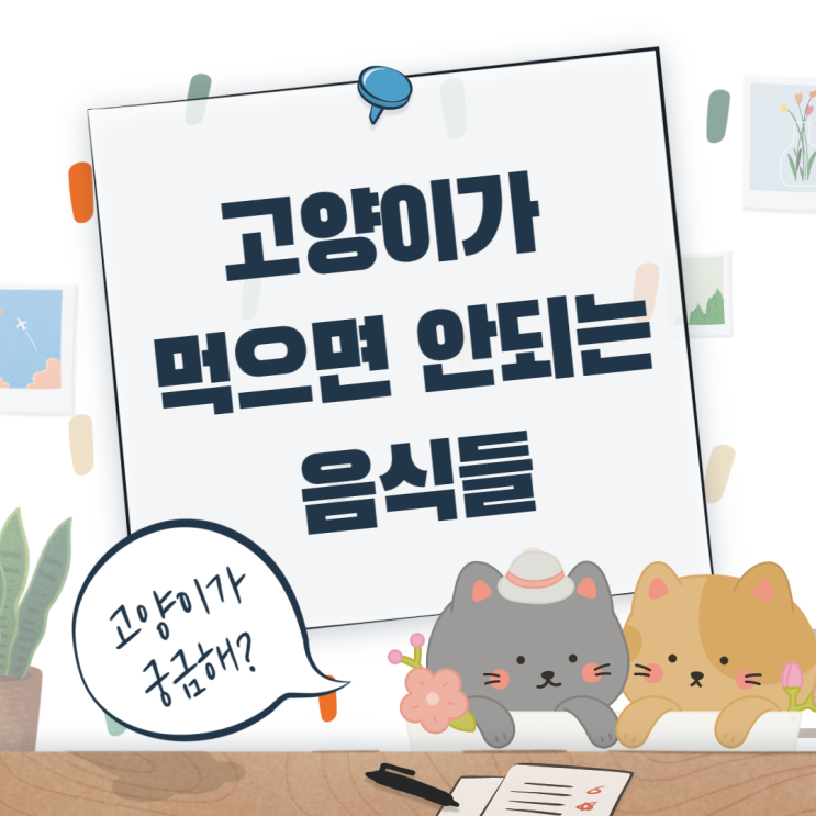  고양이가 먹으면 안되는 음식