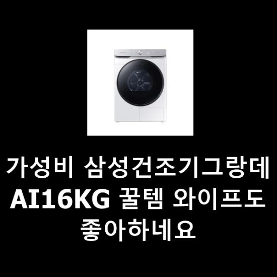 가성비 삼성건조기그랑데AI16KG 꿀템 와이프도 좋아하네요 가성비 삼성건조기그랑데AI16KG 꿀템 와이프도 좋아하네요