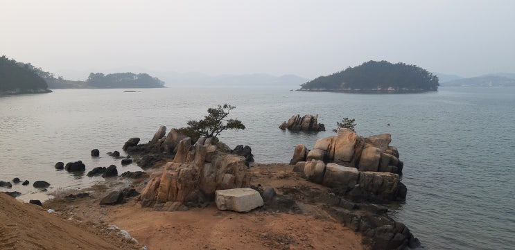  충남 태안 가로림만 진벌 도내,서산 덕송리 가장 아름다운 병풍속 바다 산수화 명품 풍경장소 발견 부채바위 소나무 두그루 외롭지않어 -꿈속, 병풍속 그림에서나 나올법한 풍경
