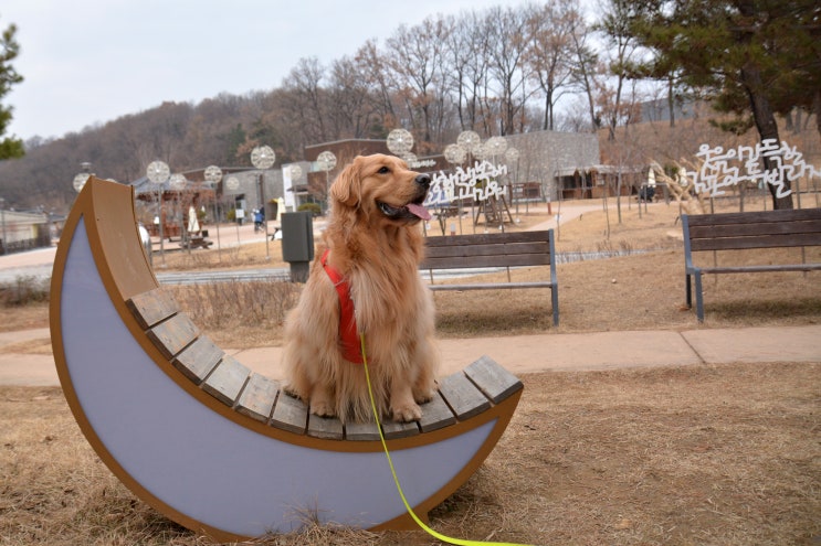  김포 아트빌리지 산책
