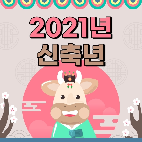  2021 신축년 / 아파트 어느지역이 오를까요?