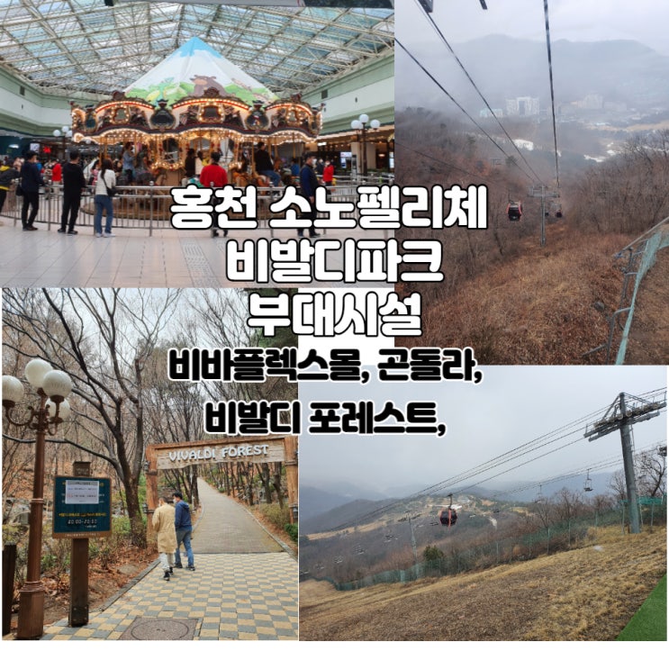  홍천 소노펠리체 비발디파크 내 즐길 거리 (feat. 비바플렉스몰,비발디 포레스트,곤돌라)