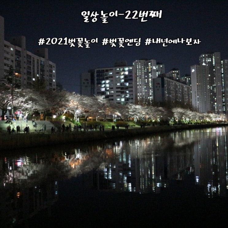  일상놀이 - 22번째
