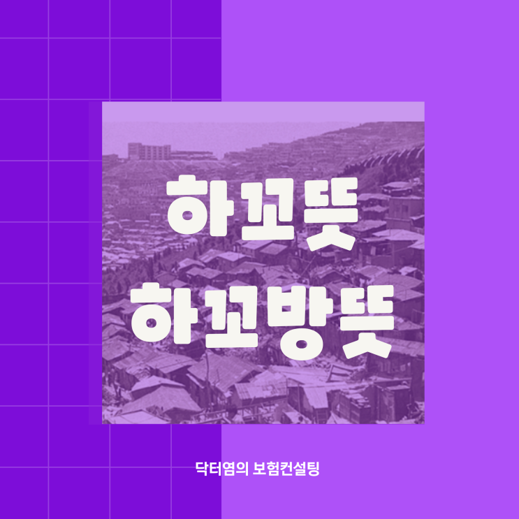  하꼬뜻 하꼬 하꼬방 뜻과 유래를 알고 사용해야만 해요