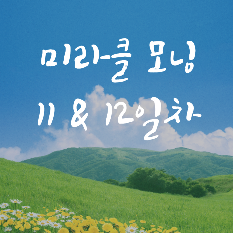  미라클 모닝 11, 12일차 일기