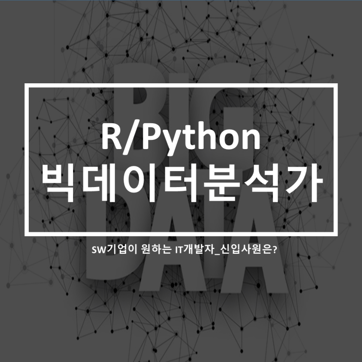  SW기업이 대졸자는 바로 실무투입이 어렵다?(feat.소프트웨어 결국 파이썬 개발자)