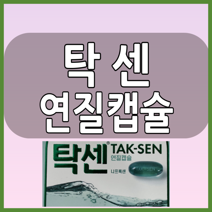  탁센 생리통, 치통등에 효과좋은 연질캡슐 진통제 알아봅시다