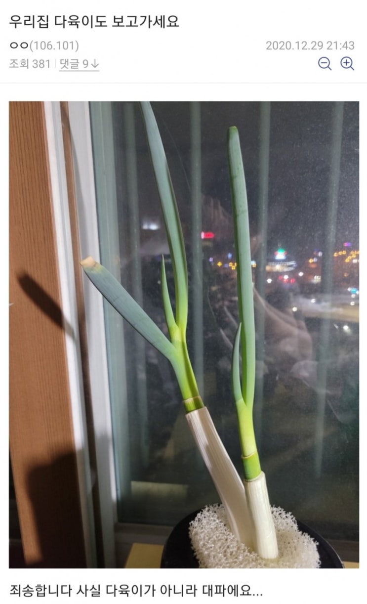  식물갤 만담 모음..