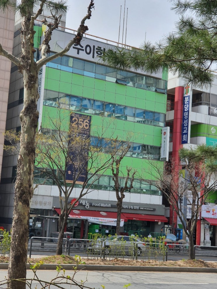  새농푸드마켓 정자점에서 장보기~!