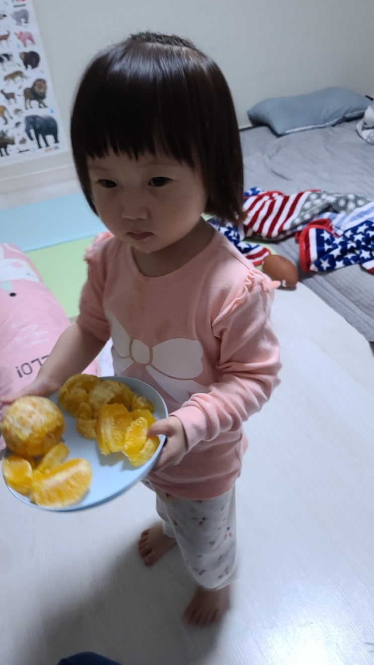  22개월 아기 일상 685일