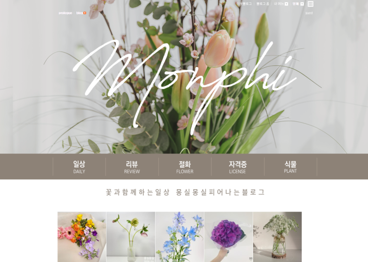  이젠 스킨팩토리 안녕! 홈페이지형 블로그 디자인을 직접 해보았어요